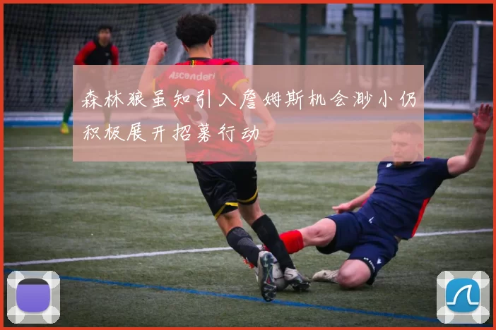 森林狼虽知引入詹姆斯机会渺小仍积极展开招募行动